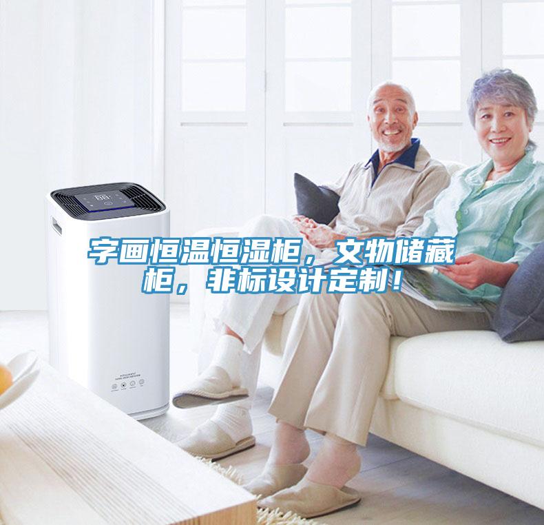 字畫(huà)恒溫恒濕柜，文物儲(chǔ)藏柜，非標(biāo)設(shè)計(jì)定制！