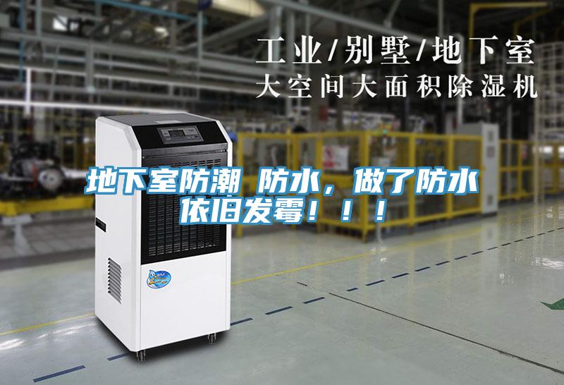 地下室防潮≠防水，做了防水依舊發(fā)霉?。?！