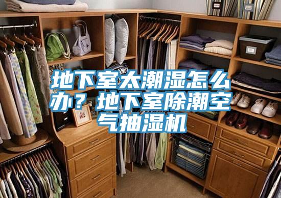 地下室太潮濕怎么辦？地下室除潮空氣抽濕機(jī)