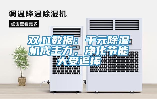 雙.11數(shù)據(jù)：千元除濕機成主力，凈化節(jié)能大受追捧