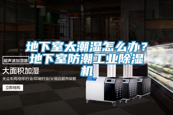 地下室太潮濕怎么辦？地下室防潮工業(yè)除濕機(jī)