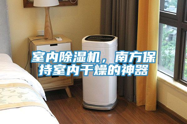 室內(nèi)除濕機，南方保持室內(nèi)干燥的神器