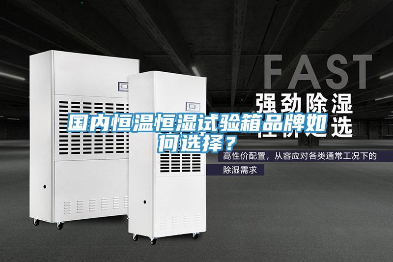 國(guó)內(nèi)恒溫恒濕試驗(yàn)箱品牌如何選擇？