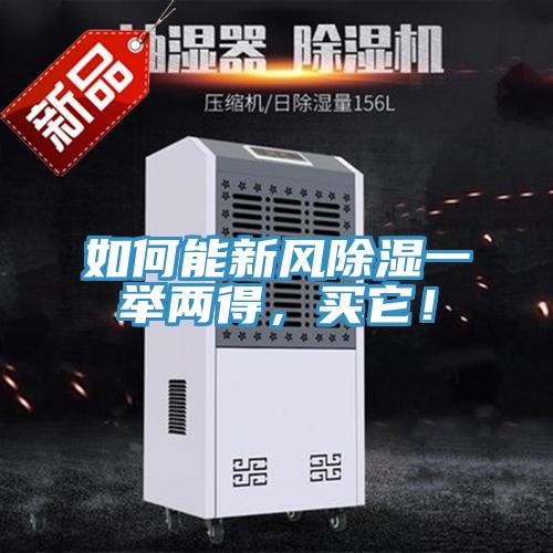 如何能新風除濕一舉兩得，買它！