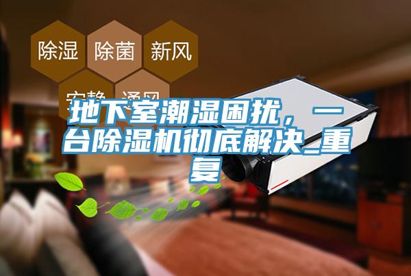 地下室潮濕困擾，一臺除濕機(jī)徹底解決_重復(fù)
