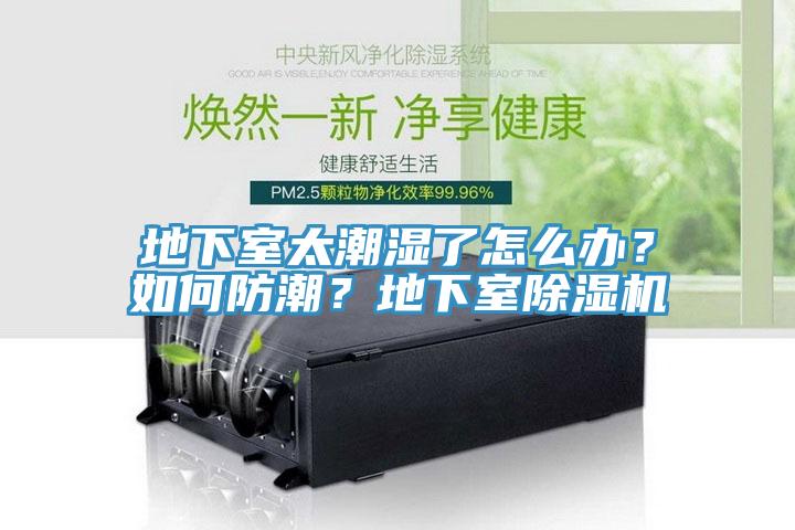 地下室太潮濕了怎么辦？如何防潮？地下室除濕機(jī)