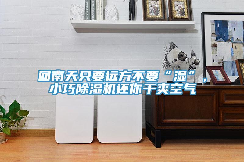 回南天只要遠方不要“濕”，小巧除濕機還你干爽空氣