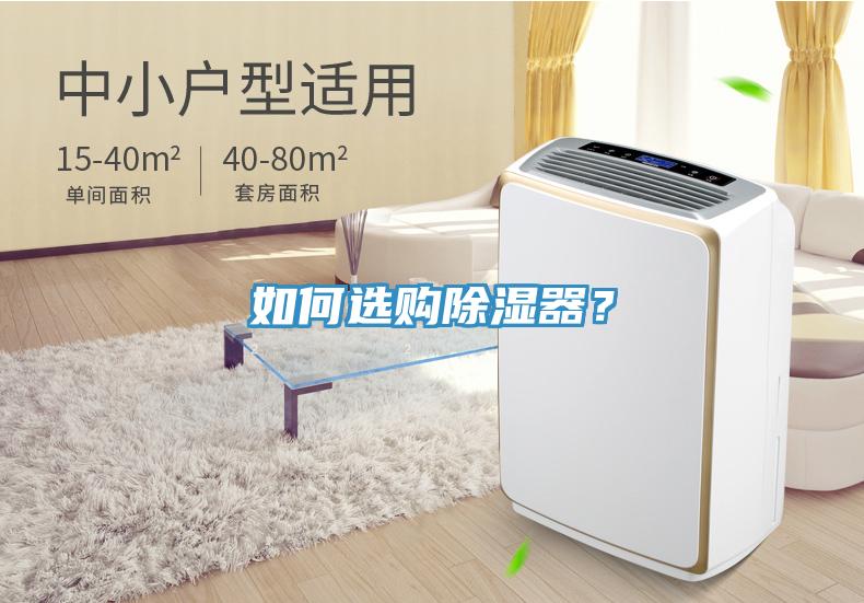 如何選購除濕器？