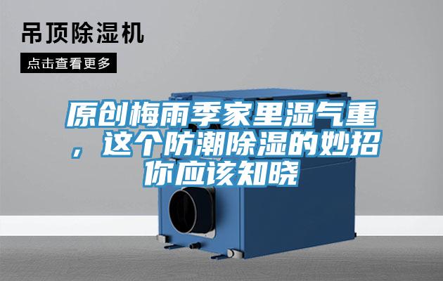 原創(chuàng)梅雨季家里濕氣重，這個(gè)防潮除濕的妙招你應(yīng)該知曉