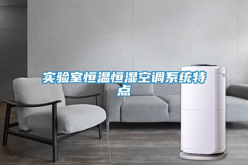 實驗室恒溫恒濕空調(diào)系統(tǒng)特點(diǎn)