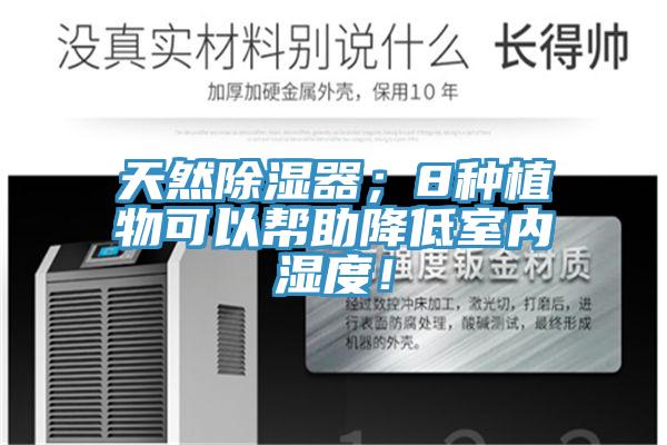 天然除濕器；8種植物可以幫助降低室內(nèi)濕度！