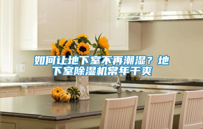 如何讓地下室不再潮濕？地下室除濕機常年干爽