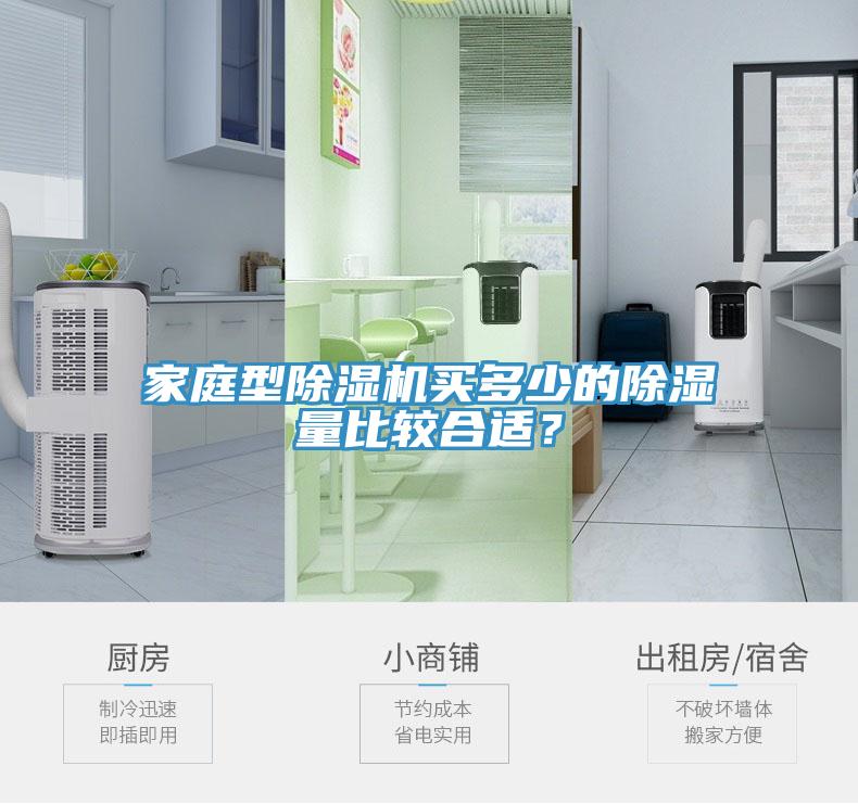 家庭型除濕機買多少的除濕量比較合適？