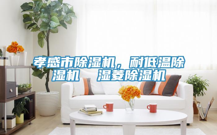 孝感市除濕機(jī)，耐低溫除濕機(jī)  濕菱除濕機(jī)