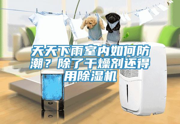 天天下雨室內(nèi)如何防潮？除了干燥劑還得用除濕機(jī)