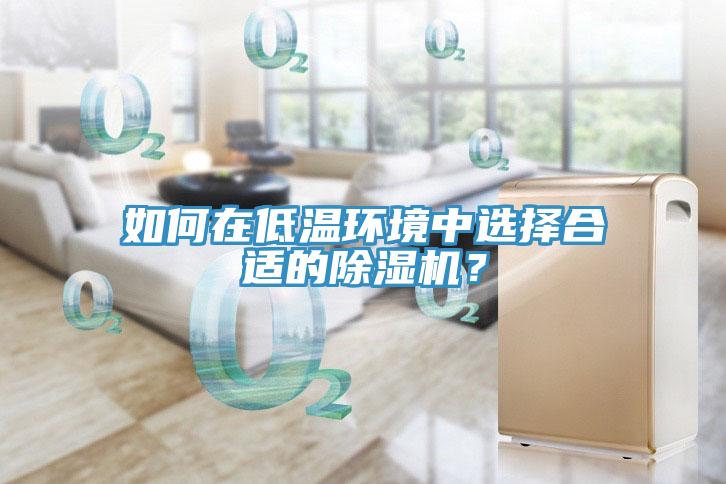 如何在低溫環(huán)境中選擇合適的除濕機？