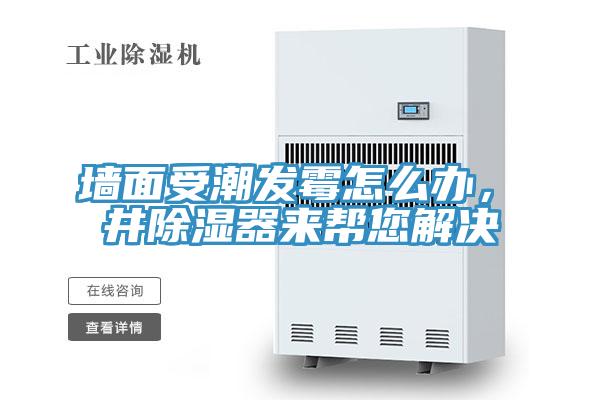 墻面受潮發(fā)霉怎么辦，東井除濕器來(lái)幫您解決
