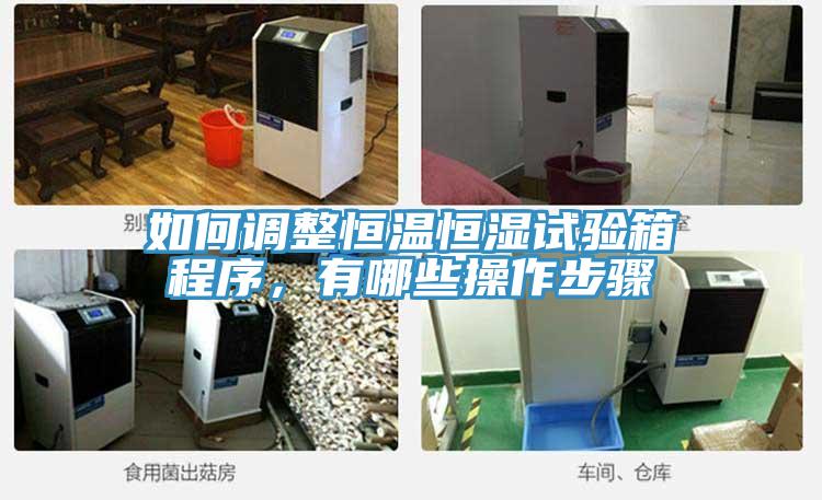 如何調(diào)整恒溫恒濕試驗箱程序，有哪些操作步驟
