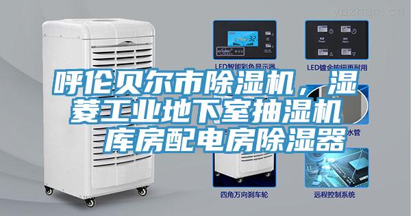 呼倫貝爾市除濕機(jī)，濕菱工業(yè)地下室抽濕機(jī)  庫房配電房除濕器
