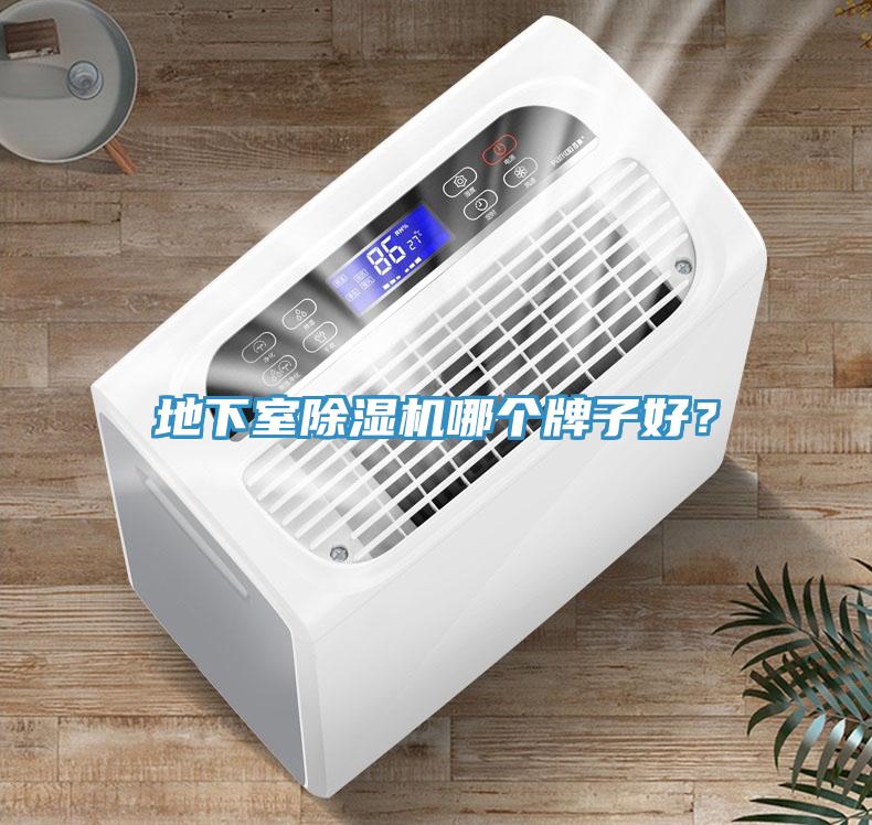 地下室除濕機哪個牌子好？