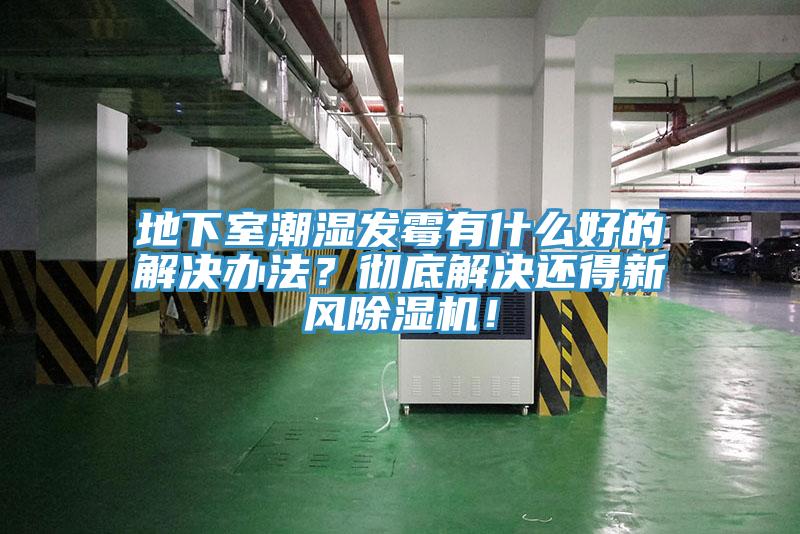 地下室潮濕發(fā)霉有什么好的解決辦法？徹底解決還得新風(fēng)除濕機！
