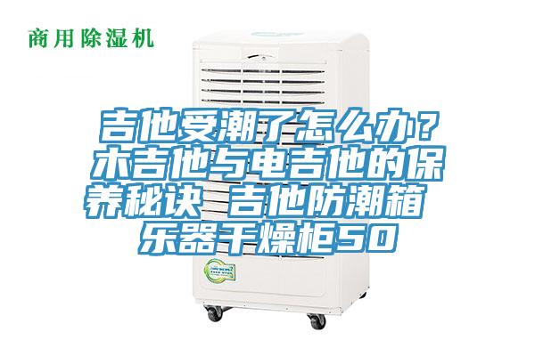 吉他受潮了怎么辦？木吉他與電吉他的保養(yǎng)秘訣 吉他防潮箱 樂器干燥柜50