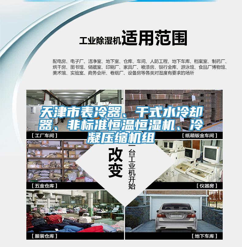 天津市表冷器、干式水冷卻器、非標(biāo)準(zhǔn)恒溫恒濕機(jī)、冷凝壓縮機(jī)組