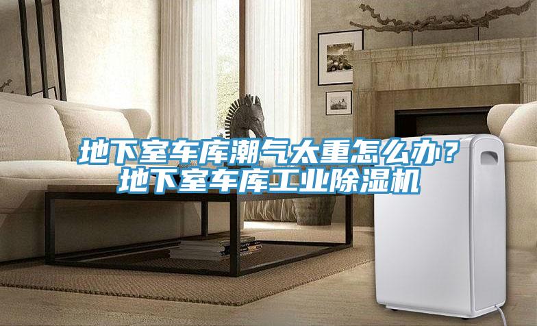 地下室車庫潮氣太重怎么辦？地下室車庫工業(yè)除濕機(jī)
