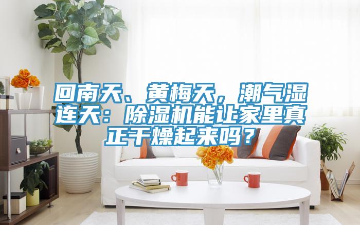 回南天、黃梅天，潮氣濕連天：除濕機能讓家里真正干燥起來嗎？