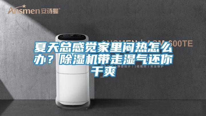 夏天總感覺(jué)家里悶熱怎么辦？除濕機(jī)帶走濕氣還你干爽