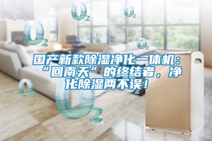國(guó)產(chǎn)新款除濕凈化一體機(jī)：“回南天”的終結(jié)者，凈化除濕兩不誤！