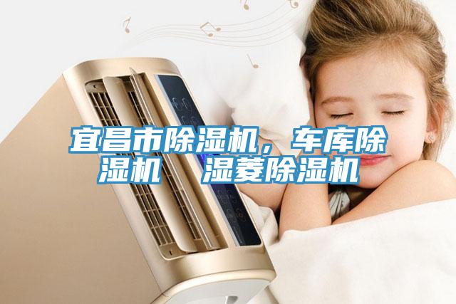 宜昌市除濕機(jī)，車庫(kù)除濕機(jī)  濕菱除濕機(jī)