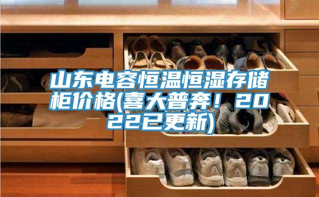 山東電容恒溫恒濕存儲(chǔ)柜價(jià)格(喜大普奔！2022已更新)