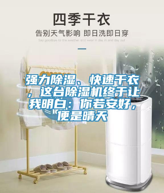 強(qiáng)力除濕、快速干衣，這臺除濕機(jī)終于讓我明白：你若安好，便是晴天