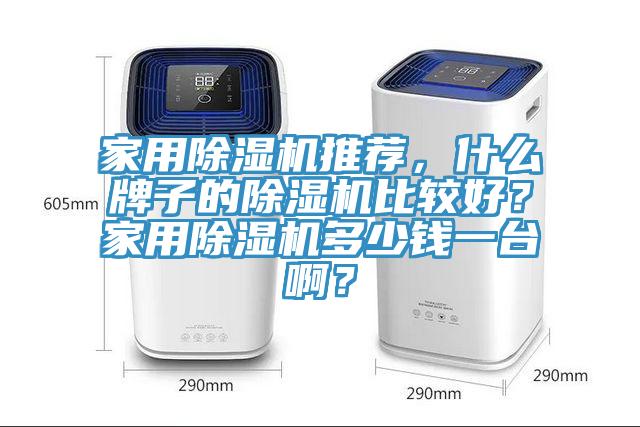 家用除濕機推薦，什么牌子的除濕機比較好？家用除濕機多少錢一臺??？