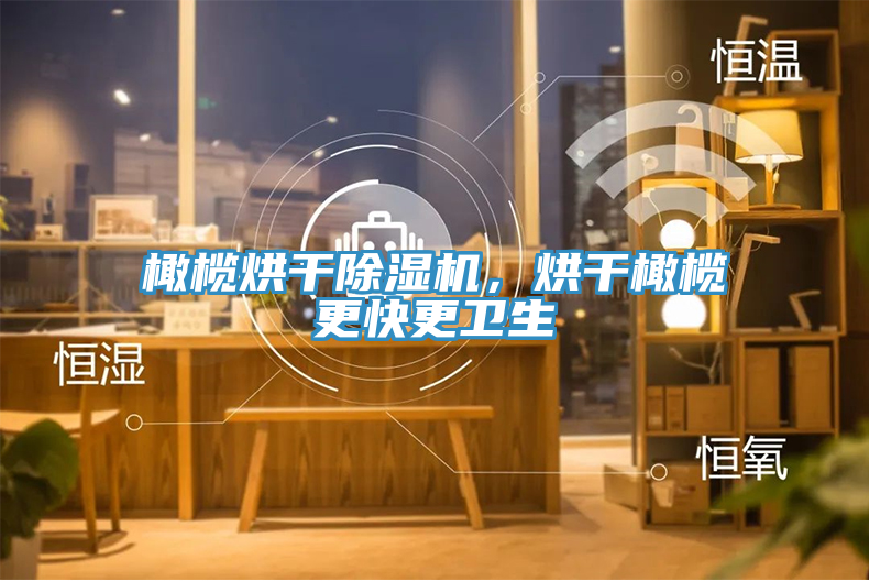 橄欖烘干除濕機，烘干橄欖更快更衛(wèi)生