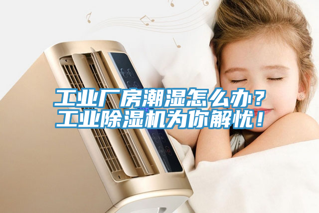 工業(yè)廠房潮濕怎么辦？工業(yè)除濕機為你解憂！