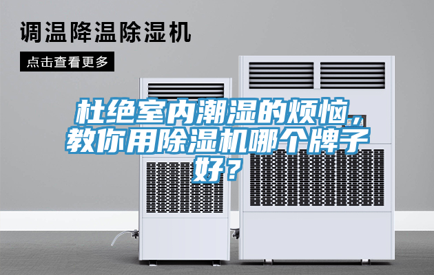 杜絕室內(nèi)潮濕的煩惱，教你用除濕機(jī)哪個(gè)牌子好？
