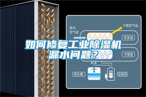 如何修復(fù)工業(yè)除濕機(jī)漏水問題？