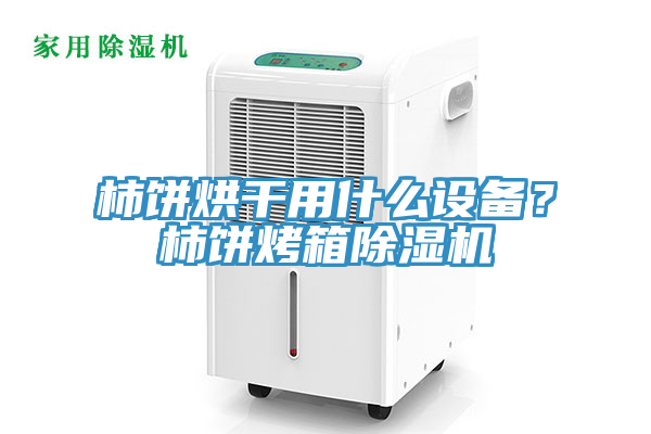 柿餅烘干用什么設(shè)備？柿餅烤箱除濕機