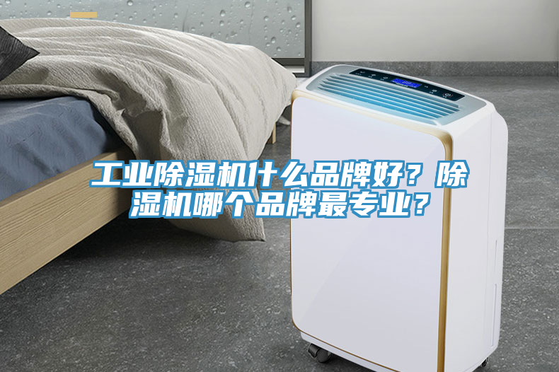 工業(yè)除濕機(jī)什么品牌好？除濕機(jī)哪個(gè)品牌最專業(yè)？