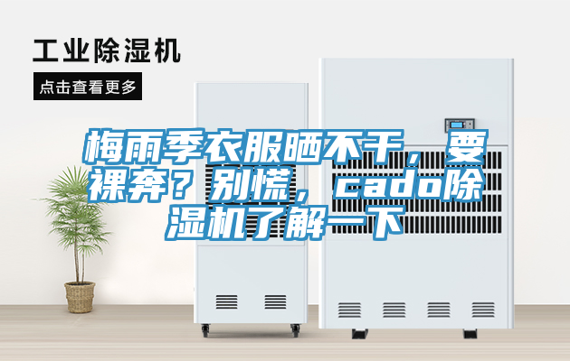 梅雨季衣服曬不干，要裸奔？別慌，cado除濕機(jī)了解一下