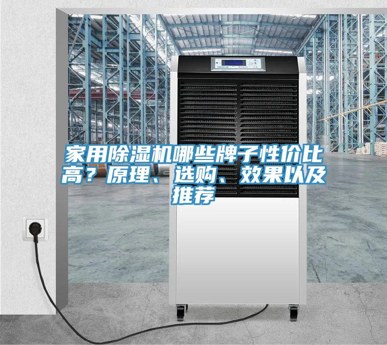 家用除濕機(jī)哪些牌子性價(jià)比高？原理、選購(gòu)、效果以及推薦