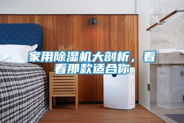 家用除濕機大剖析，看看那款適合你