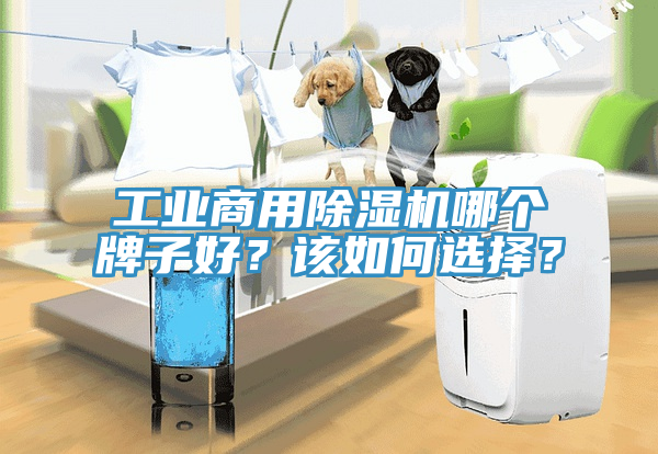工業(yè)商用除濕機(jī)哪個(gè)牌子好？該如何選擇？