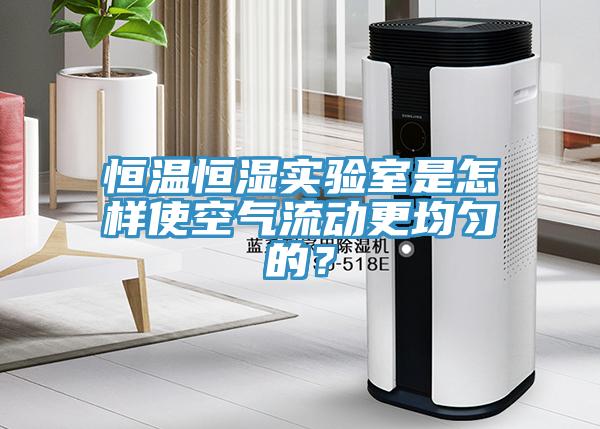 恒溫恒濕實驗室是怎樣使空氣流動更均勻的？