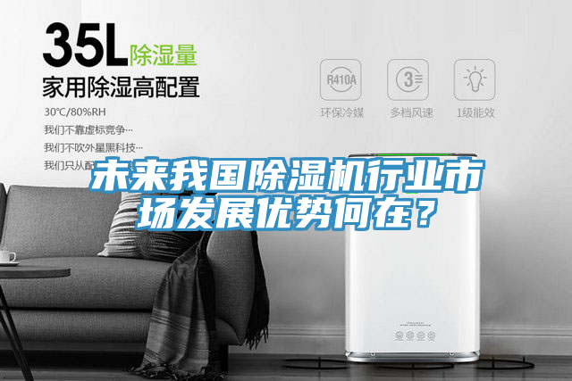 未來我國除濕機(jī)行業(yè)市場(chǎng)發(fā)展優(yōu)勢(shì)何在？