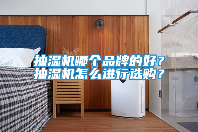 抽濕機(jī)哪個(gè)品牌的好？抽濕機(jī)怎么進(jìn)行選購？