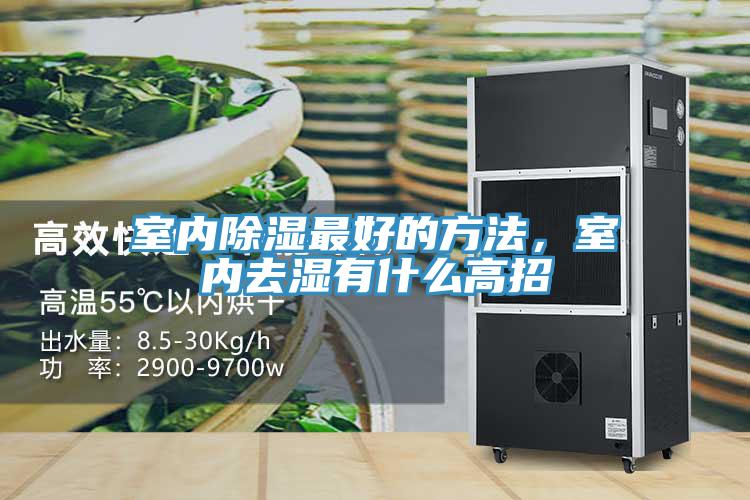 室內(nèi)除濕最好的方法，室內(nèi)去濕有什么高招