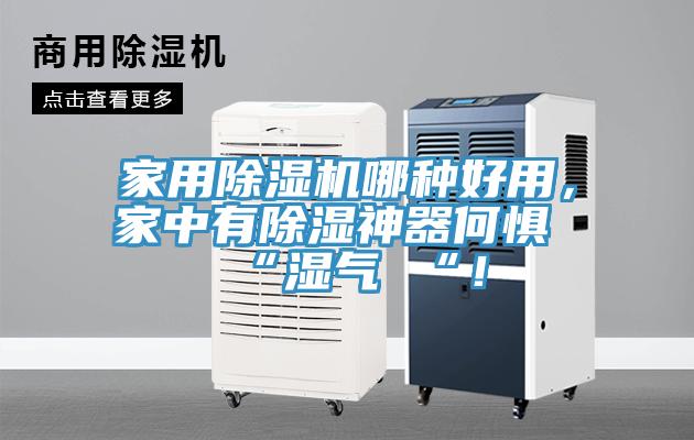 家用除濕機哪種好用，家中有除濕神器何懼 “濕氣 “！